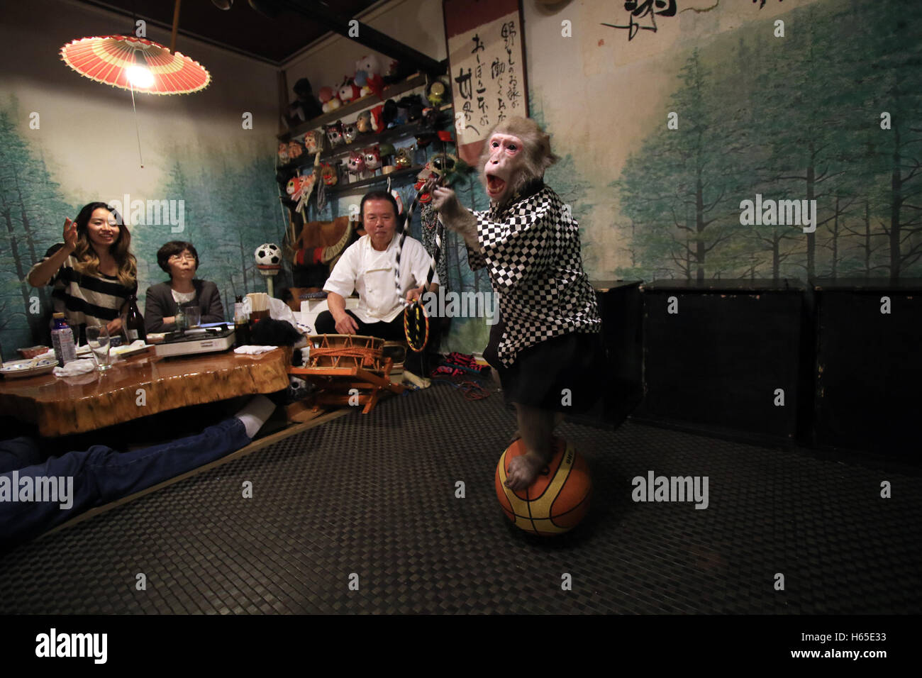Utsunomiya, Japan. 22nd Oct, 2016. A Japanese macaque Fuku (meaning