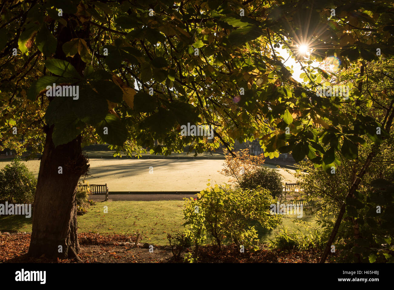 Glasgow, Scotland, UK. 25th October, 2016. UK Weather: Queen's Park Bowling Green in the autumn sunshine Credit:  Tony Clerkson/Alamy Live News Stock Photo