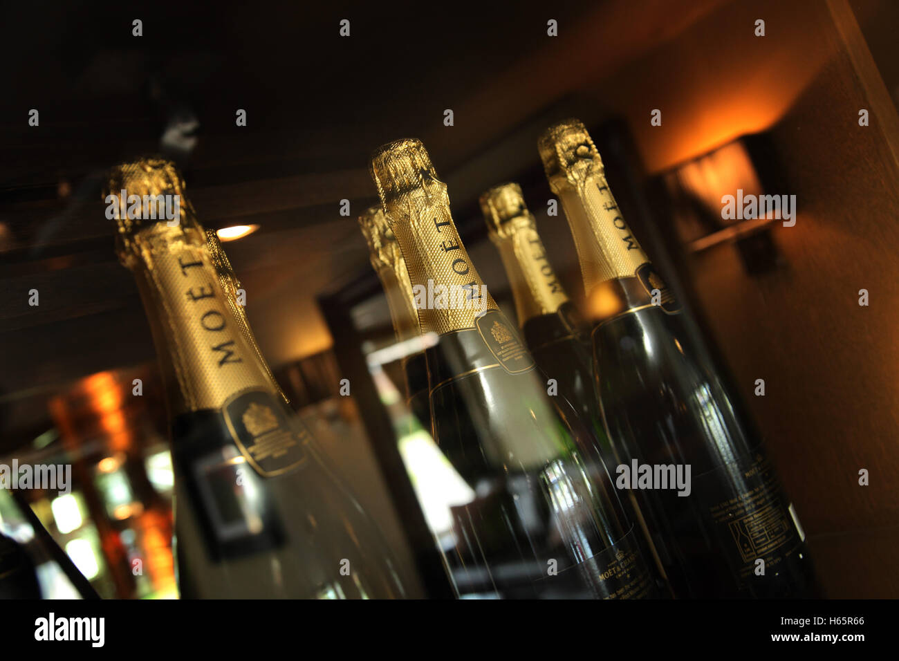 Fridge Of Champagne Bottles High Resolution Stock Photography and