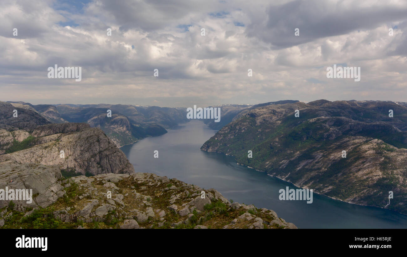 Gallery image with a fresh perspective