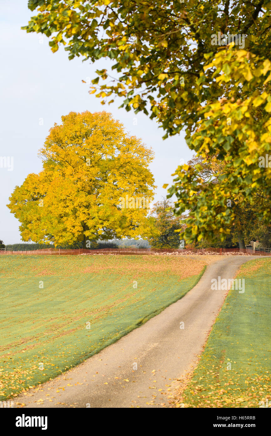 Grounds of Castle Ashby, Northamptonshire, during the season of autumn. Stock Photo