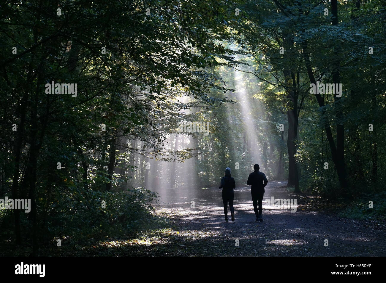 jogging couple silhouetted against sunbeam in dark forest Stock Photo
