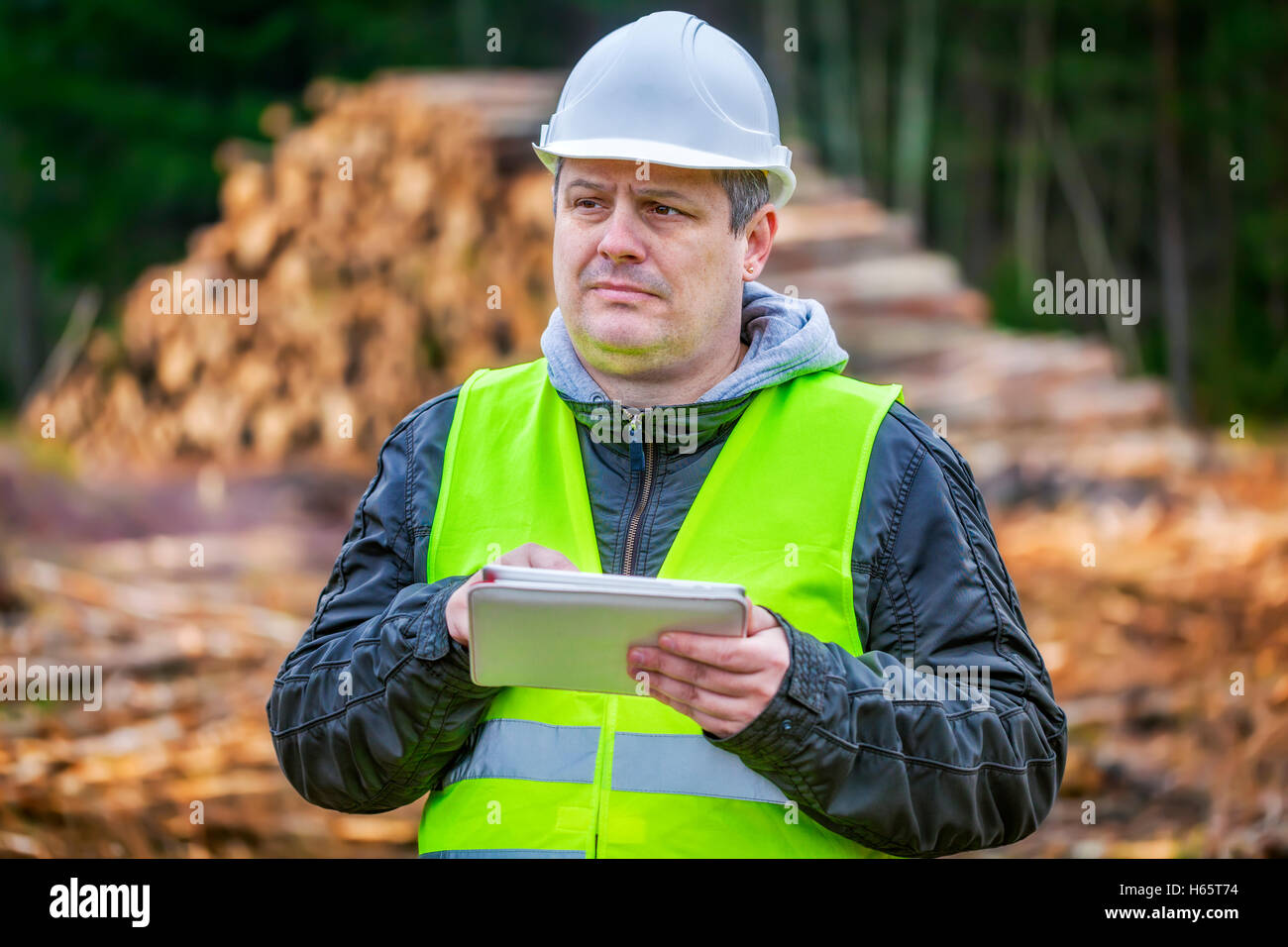специалист лесного и лесопаркового хозяйства. инженер лесного хозяйства в лесу. лесное хозяйство профессии. инженер в лесопарковом хозяйстве. мастер по лесному хозяйству.
