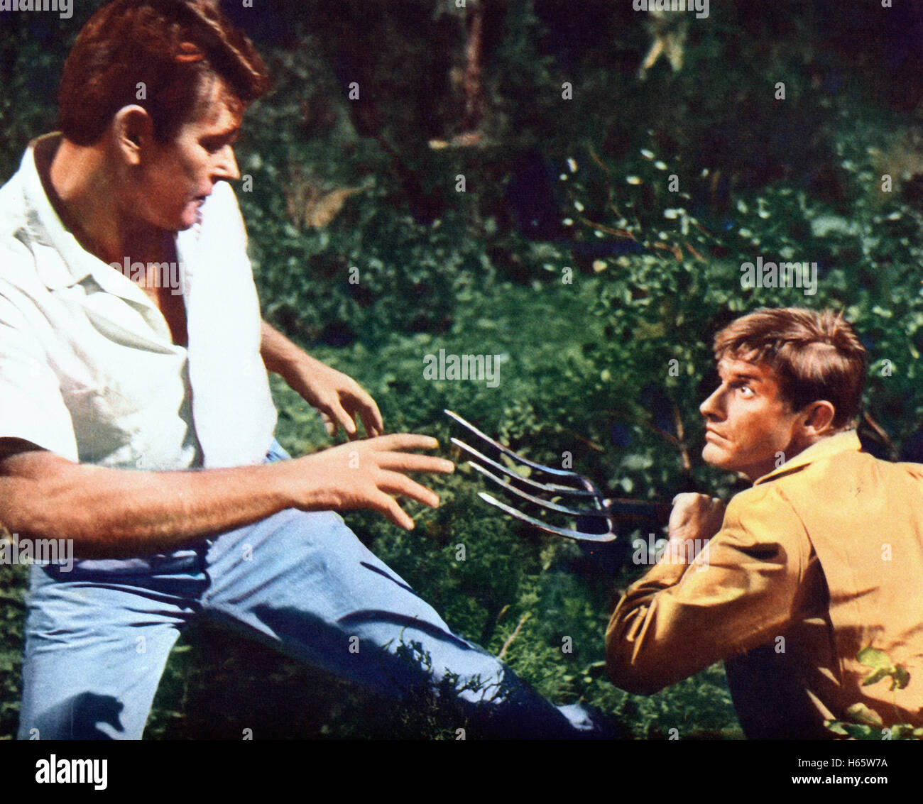 Shock Treatment, aka: Der Mörder mit der Gartenschere, USA 1964, Regie: Denis Sanders, Darsteller: Stuart Whitman, Roddy McDowall Stock Photo