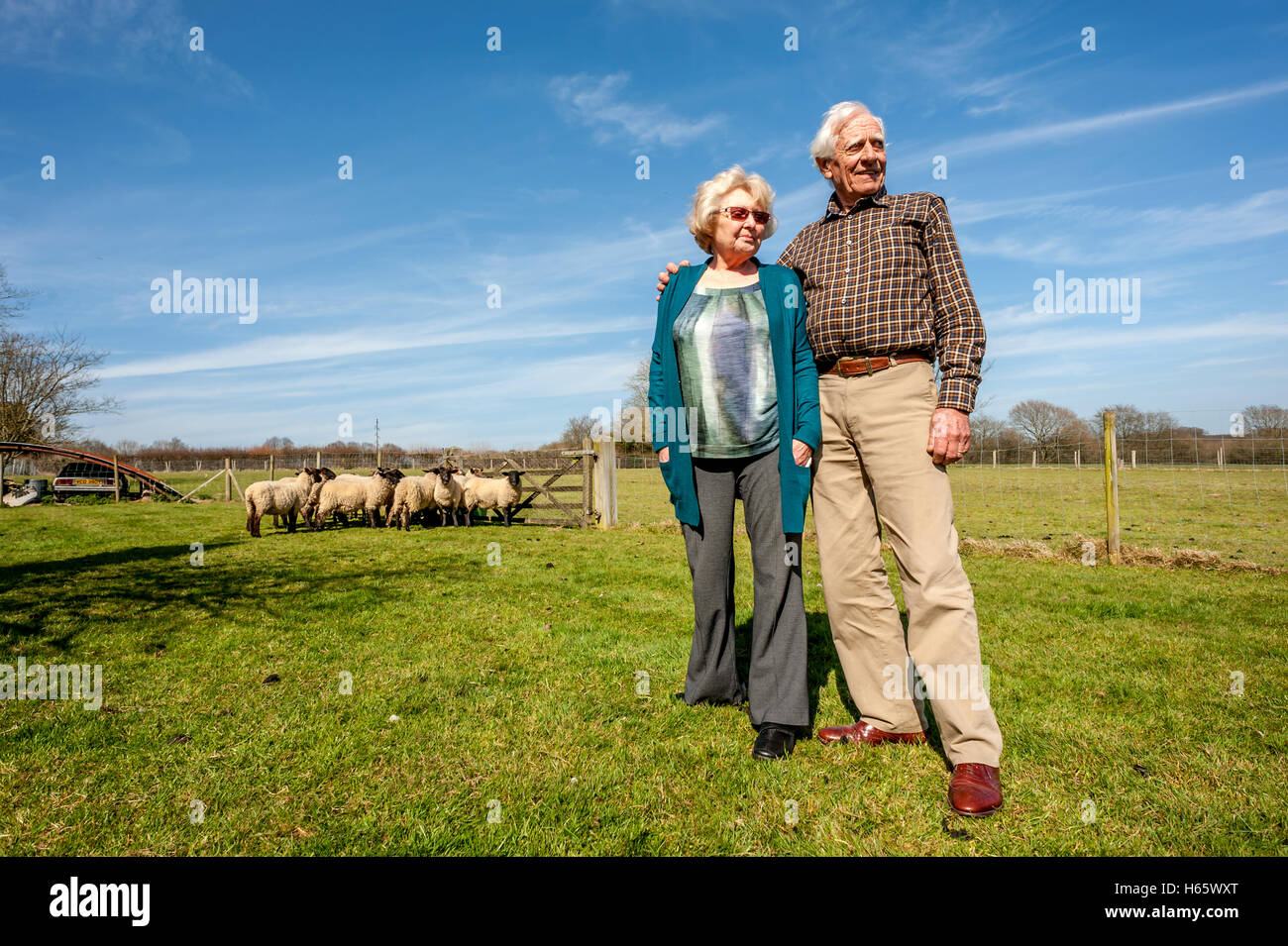 Hugh and Irene Soper, of Chiddingly, East Sussex, who woke last week to find more than twenty sheep in their back garden. No-one Stock Photo