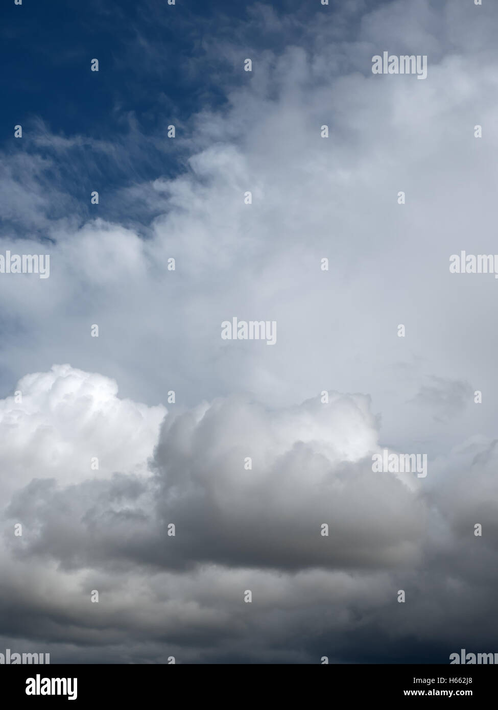 Rain vertical hi-res stock photography and images - Alamy