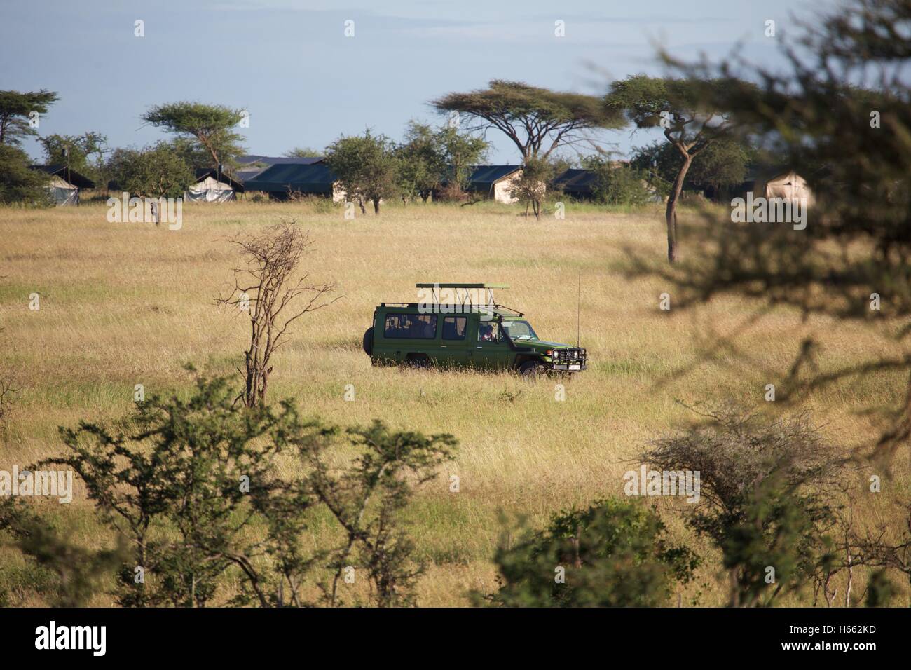 Land rover in the savannah of Serengeti National Park. Stock Photo