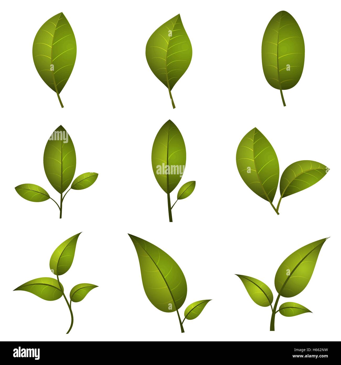 Leaf icons set Stock Vector Image & Art - Alamy