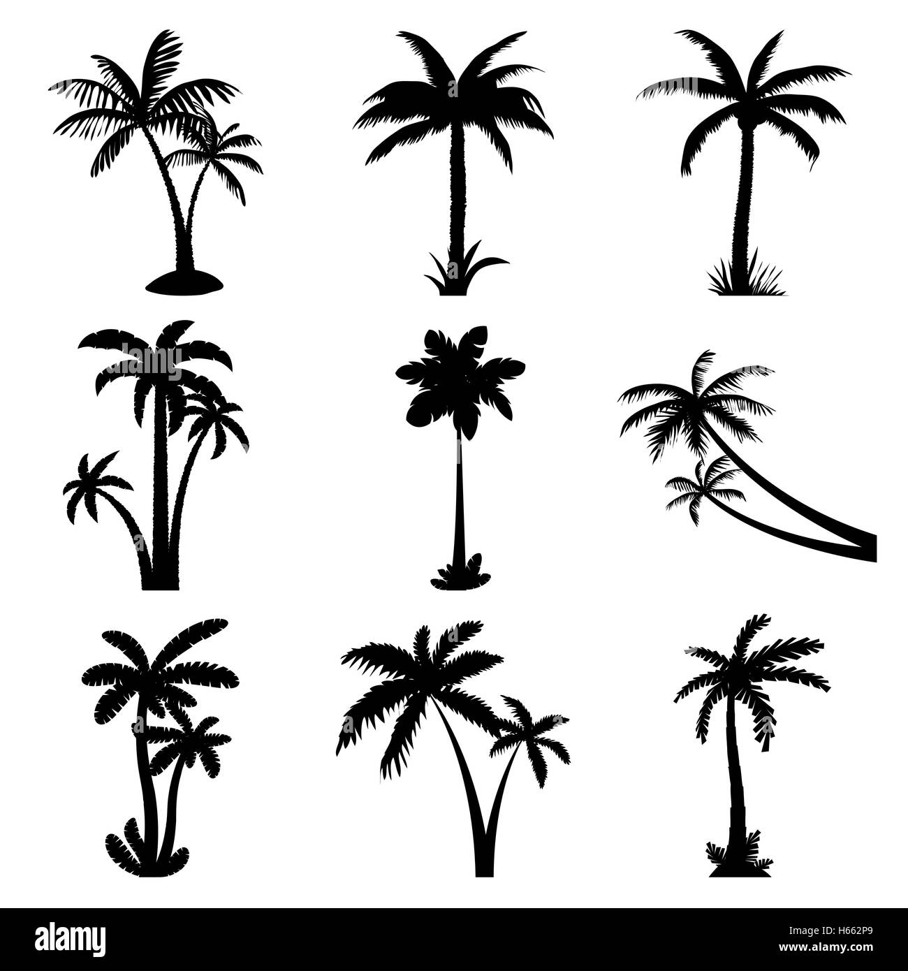 Tropical Palm Tree Clipart Black And White - Rectangle Circle