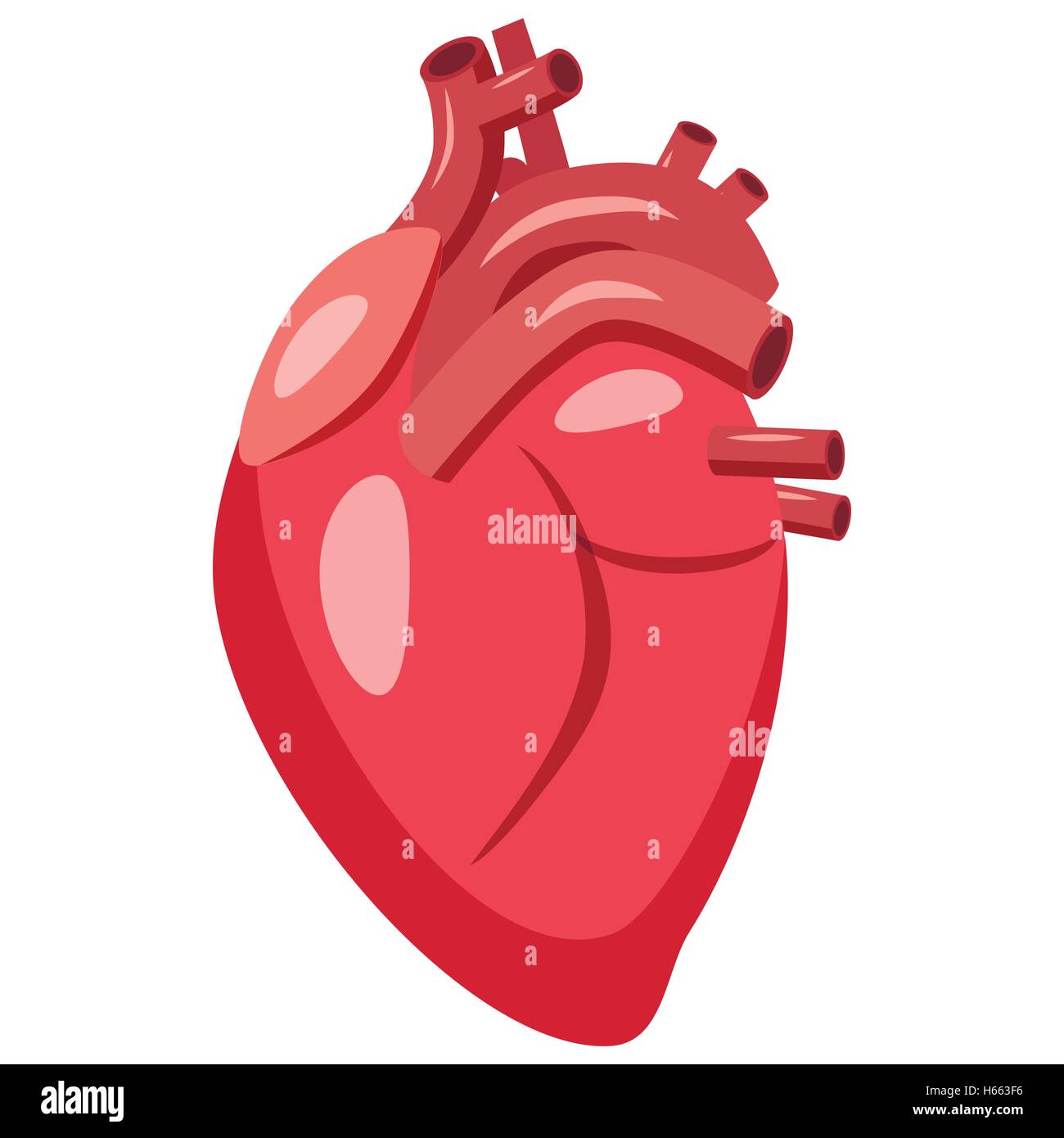 Human heart icon, cartoon style Stock Vector Image & Art - Alamy