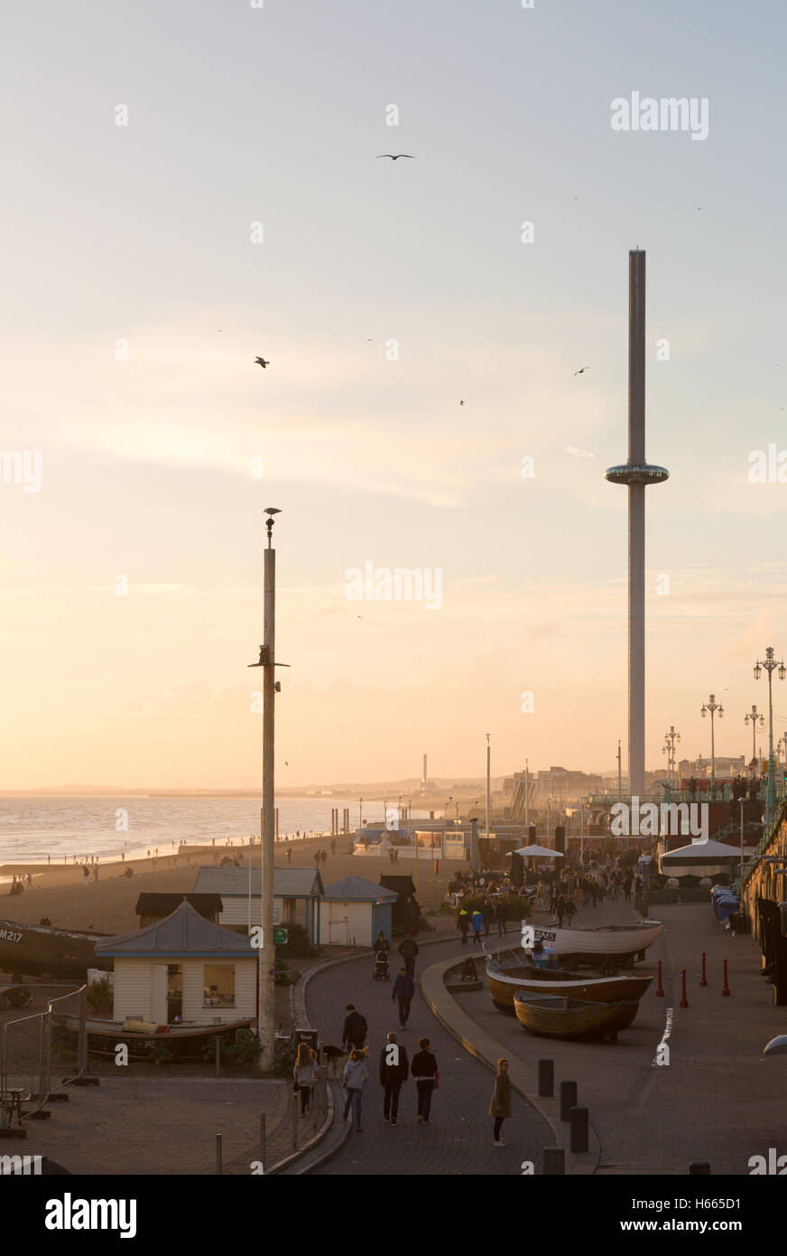 Brighton seafront and promenade at sunset, Brighton, East Sussex England UK Stock Photo