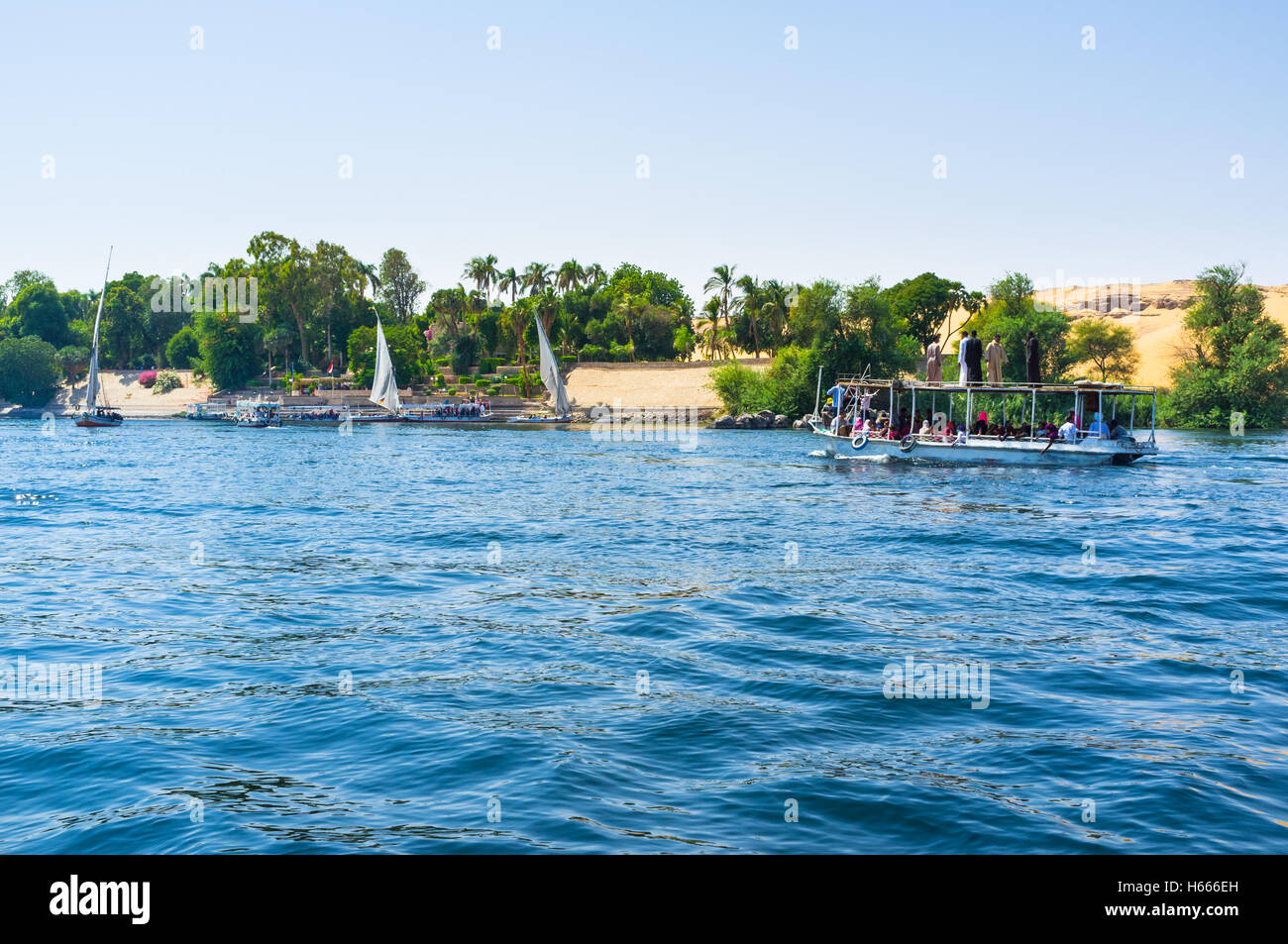 Many tourist boats and feluccas sail to the Kitchener's island with the famous Botanical garden, Aswan, Egypt. Stock Photo