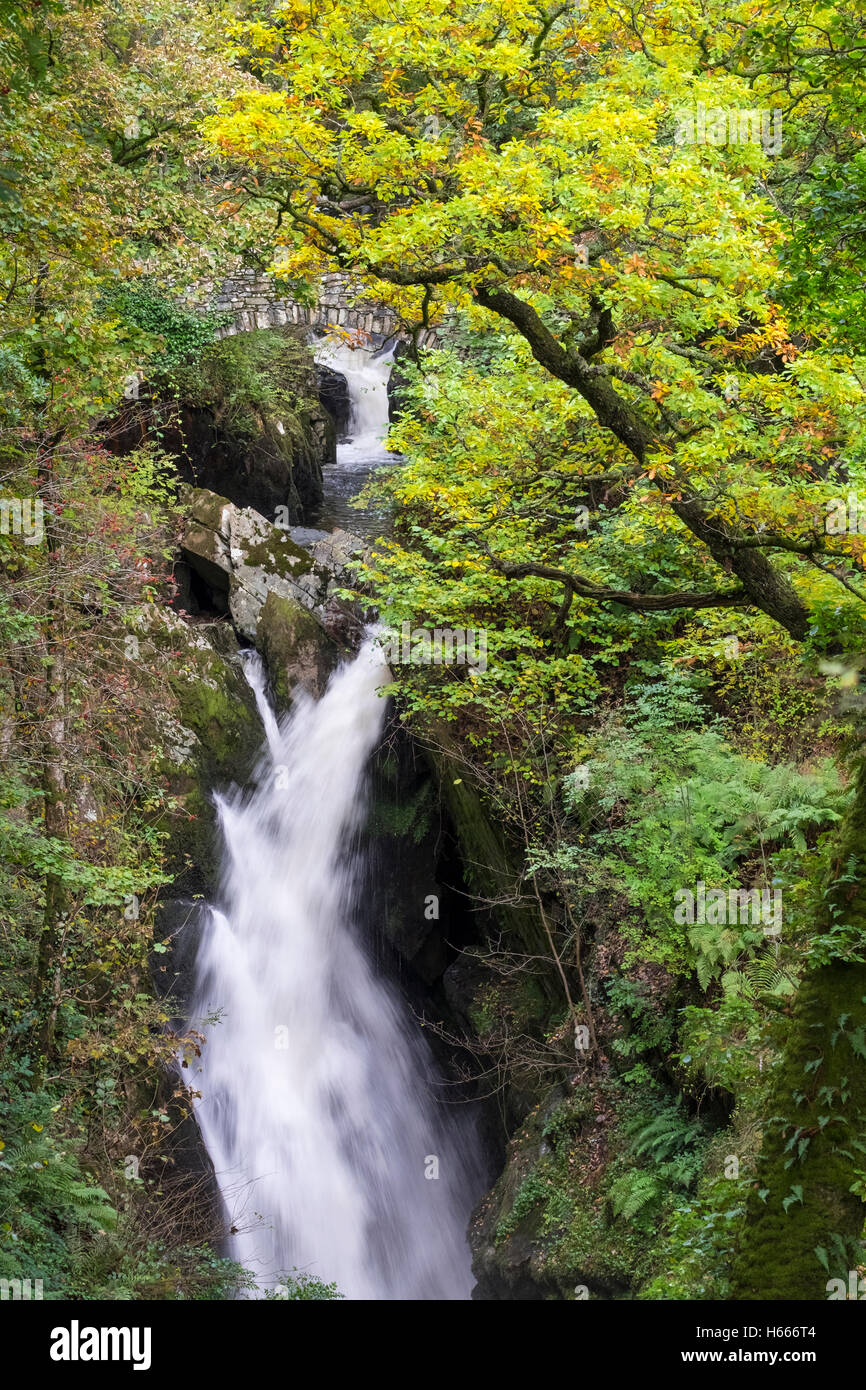 Aira Force waterfall with autumn colours, near Ullswater, Lake District, Cumbria UK Stock Photo