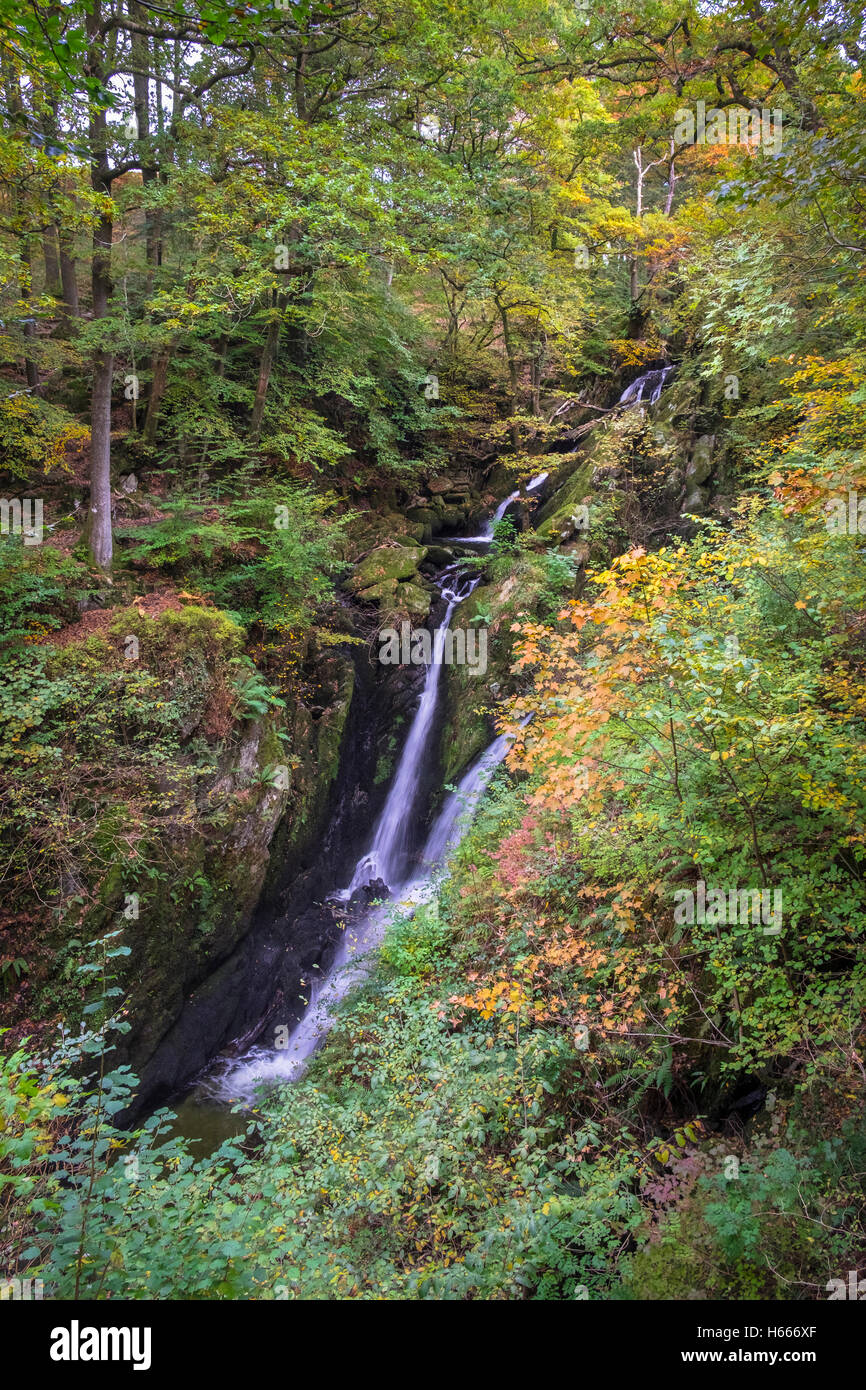 Stock Ghyll Force waterfall, near Ambleside, Lake District National Park, Cumbria UK Stock Photo