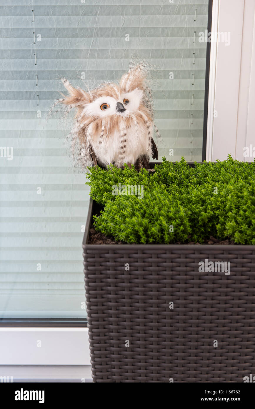 Owl as an autumn decoration in a planter bucket at the window Stock Photo