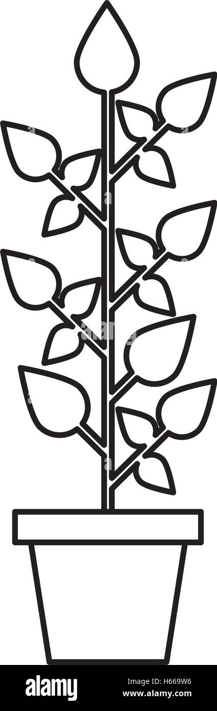 leafs plant ecology symbol Stock Vector Image & Art - Alamy