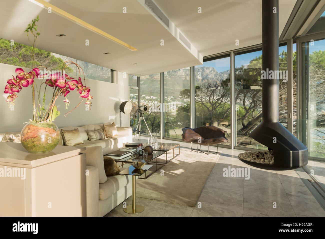 Modern luxury home showcase living room with fireplace Stock Photo - Alamy
