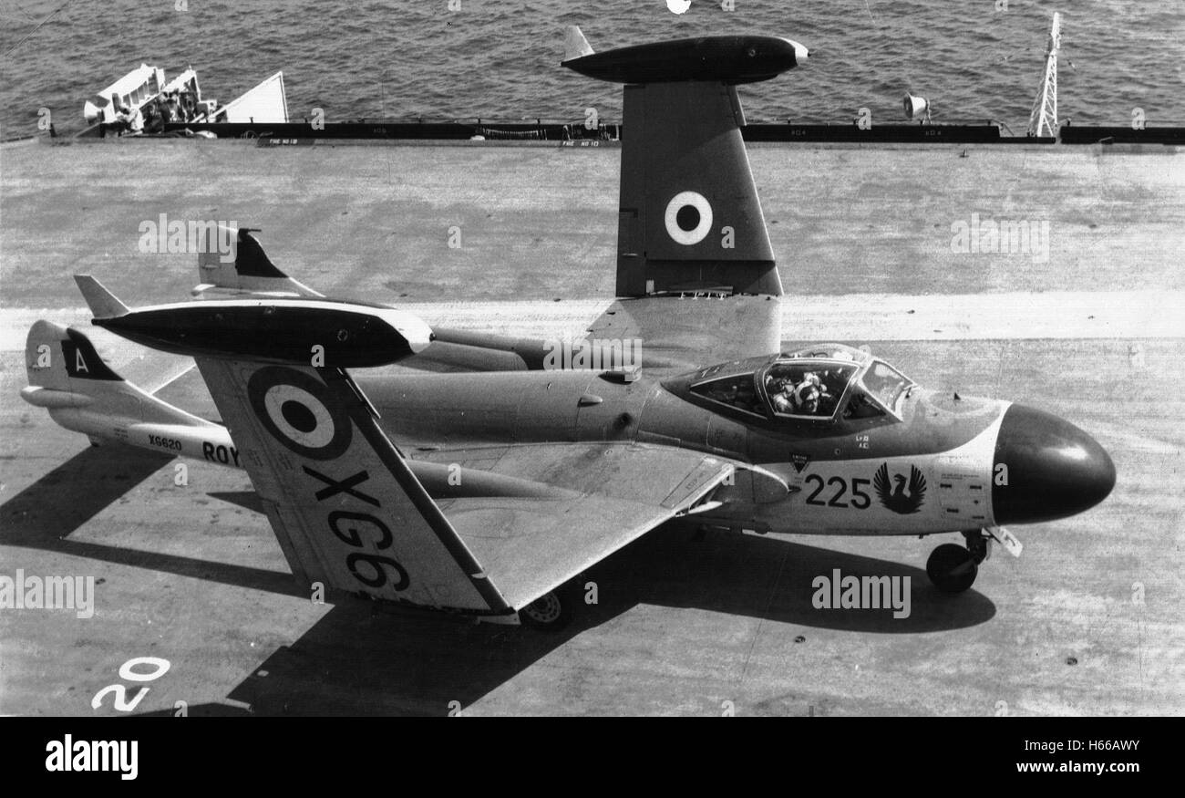 A de Havilland Sea Venom jet fighter of 809 Squadron folding wings after landing on Royal Naval Aircraft carrier, HMS Triumph 1954 Stock Photo