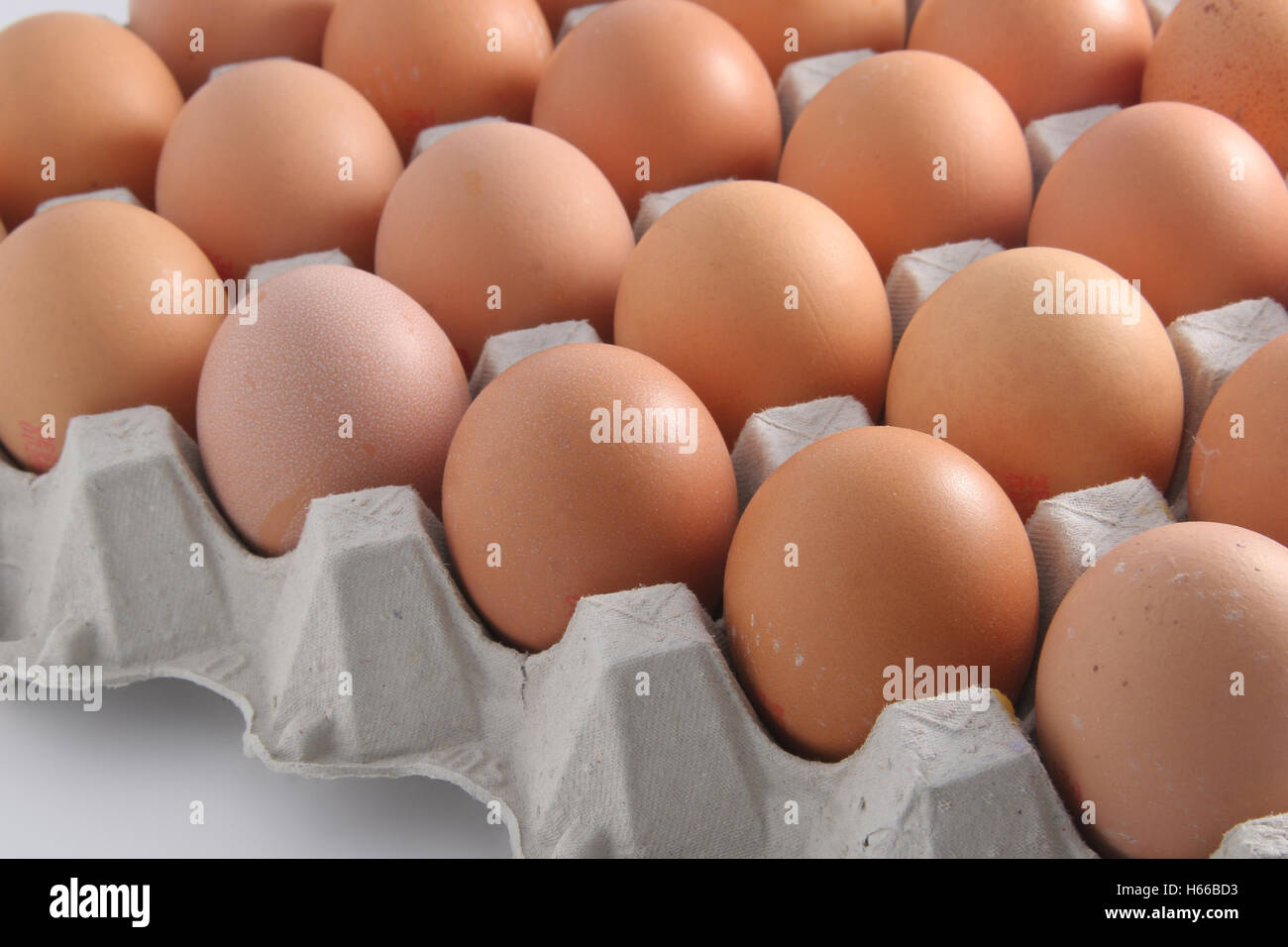 Brown Eggs in Carton Stock Photo