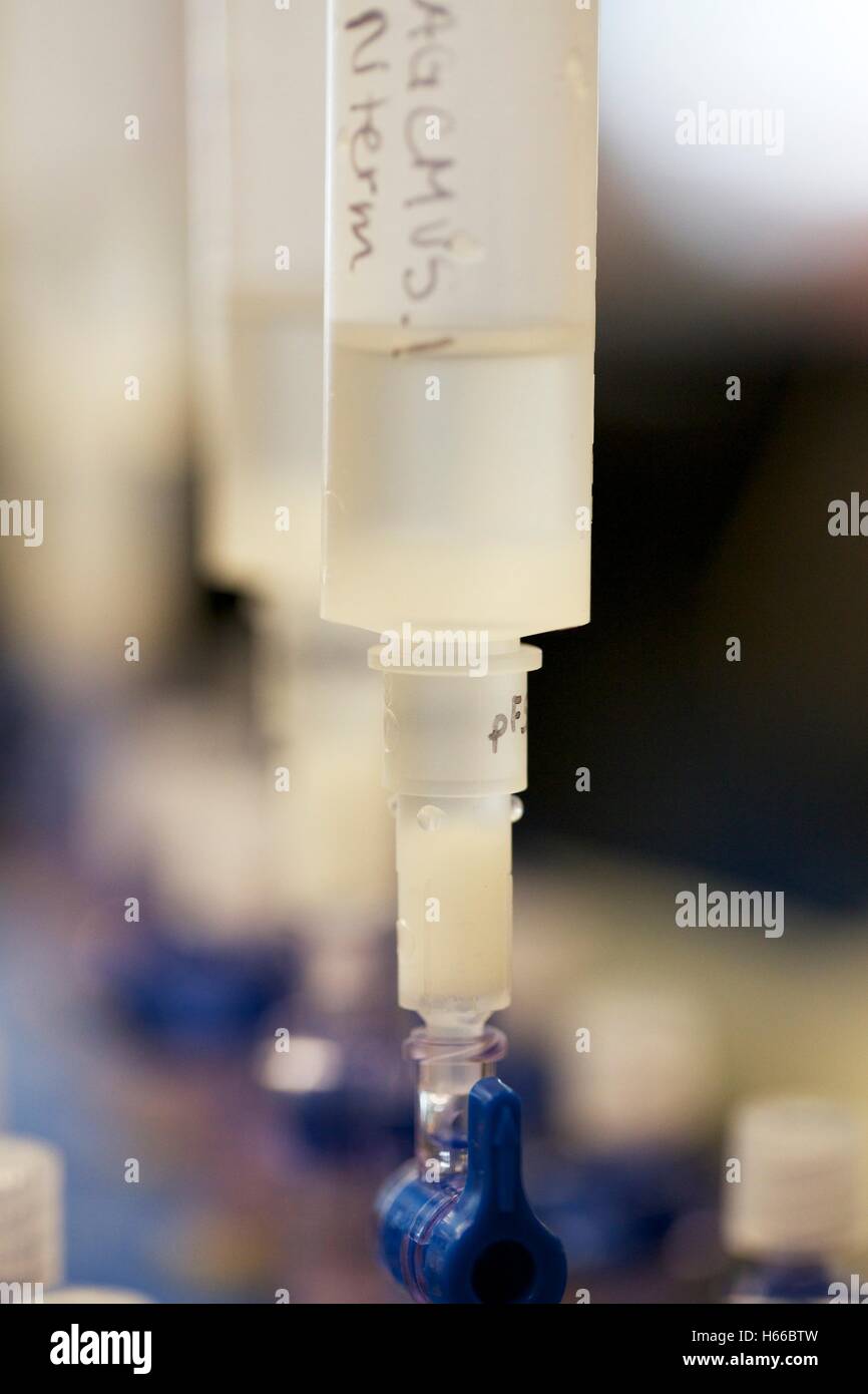 DNA isolation columns attached to vacuum manifold. Columns contain a resin used to isolate plasmid DNA Stock Photo