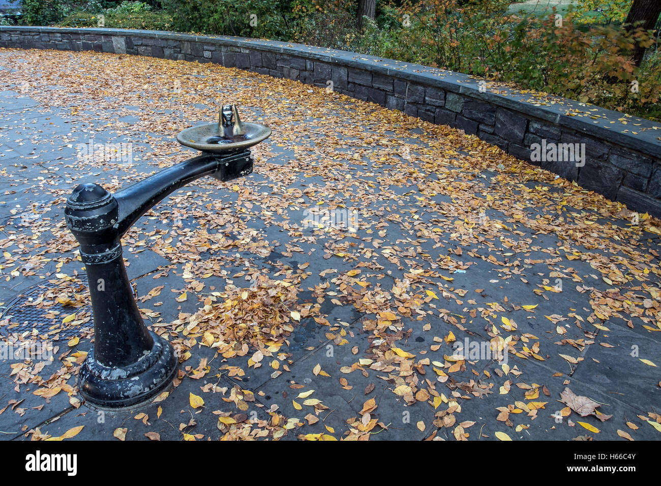 Drinking fountain in Central Park Stock Photo Alamy