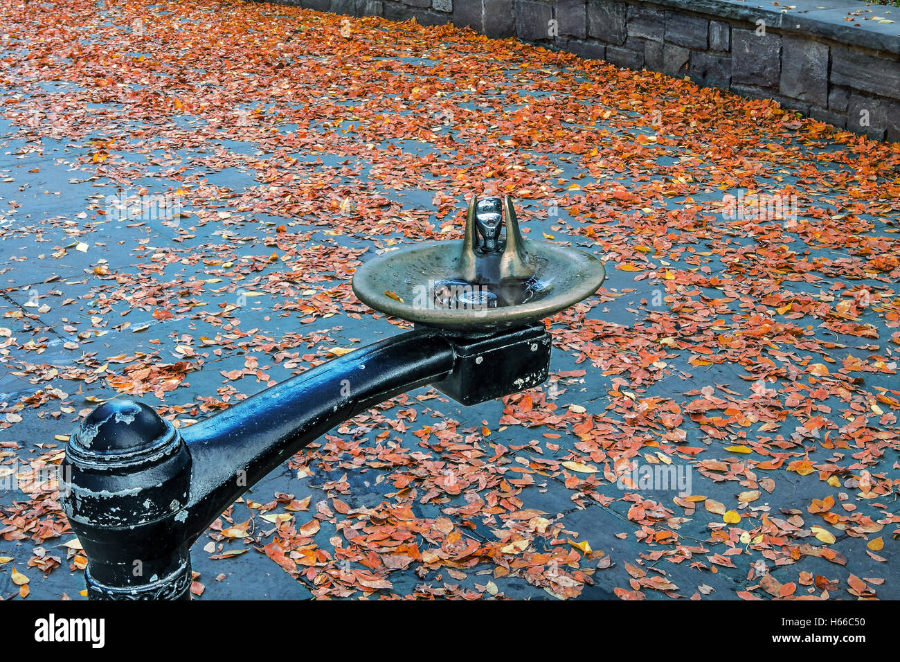 Drinking fountain in Central Park Stock Photo Alamy