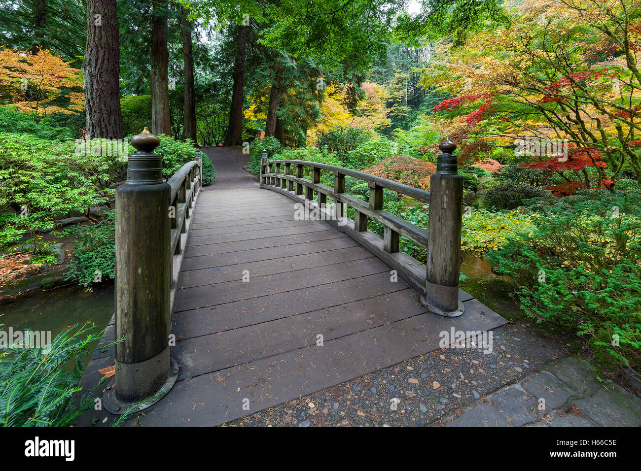 Fall colors by the foot bridge at Japanese Garden in Autumn Stock Photo