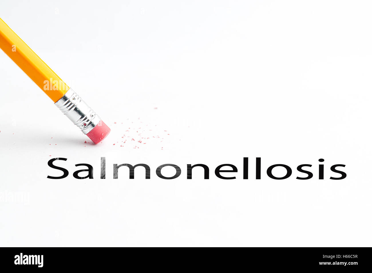 Pencil with eraser Stock Photo Alamy