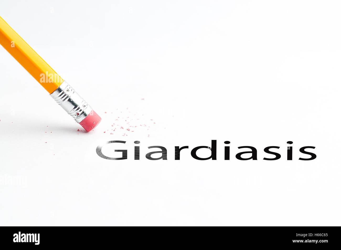 Giardia lamblia cyst hires stock photography and images Alamy