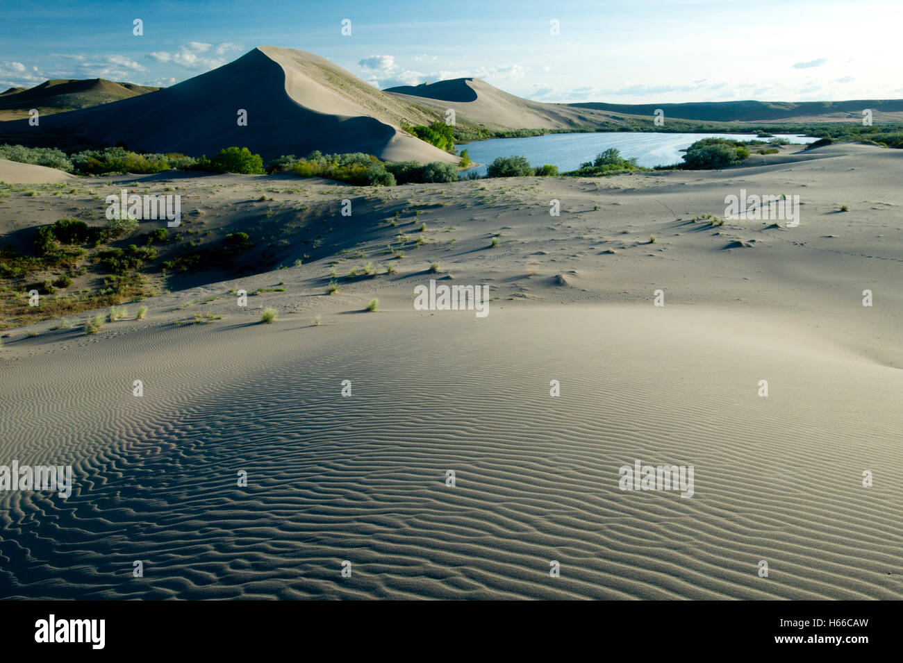 Bruneau Dunes State Park Idaho, USA Stock Photo - Alamy