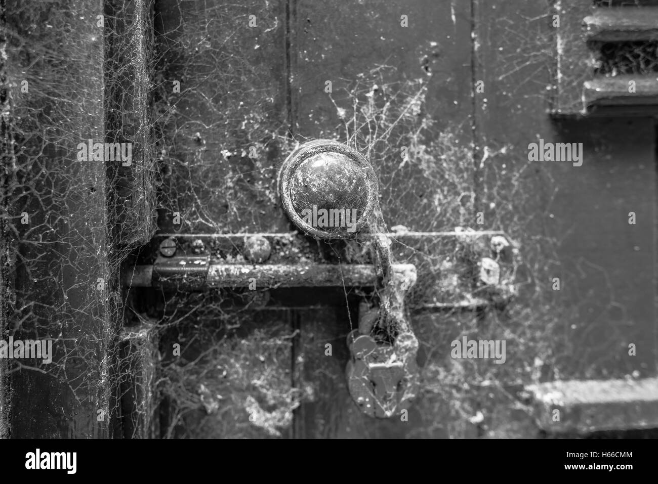 Old door knob covered in cobweb. Stock Photo