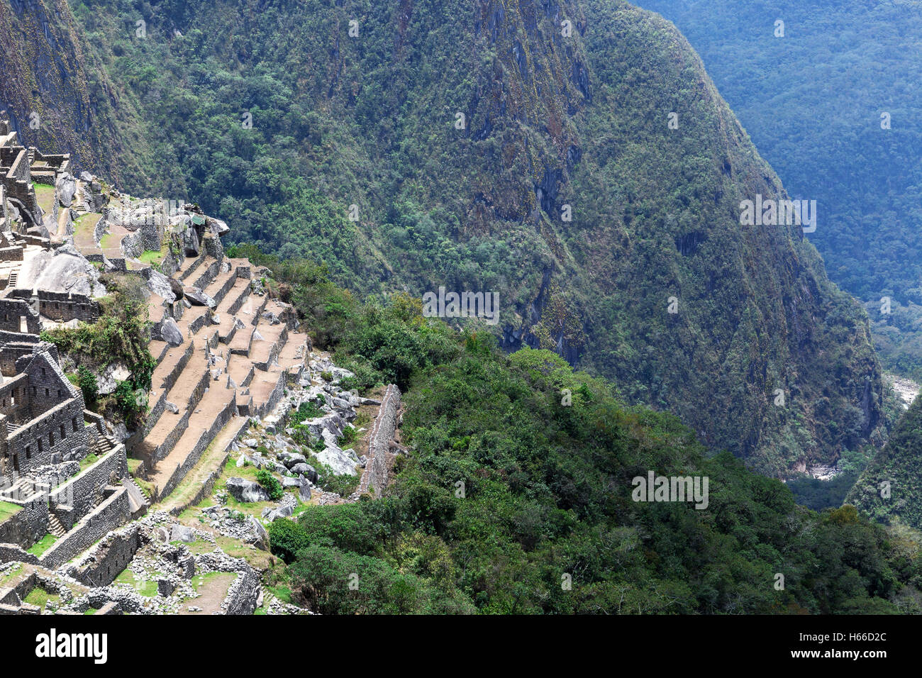 ruins and old terraces in Machu Picchu Stock Photo - Alamy