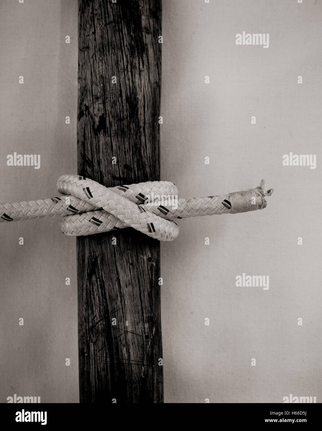 A Clove Hitch knot Stock Photo Alamy