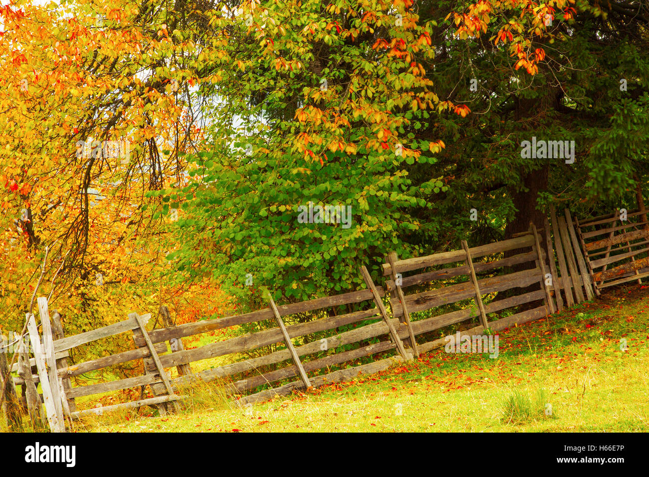 Sunlight scenic countryside plant color outdoor hi-res stock ...