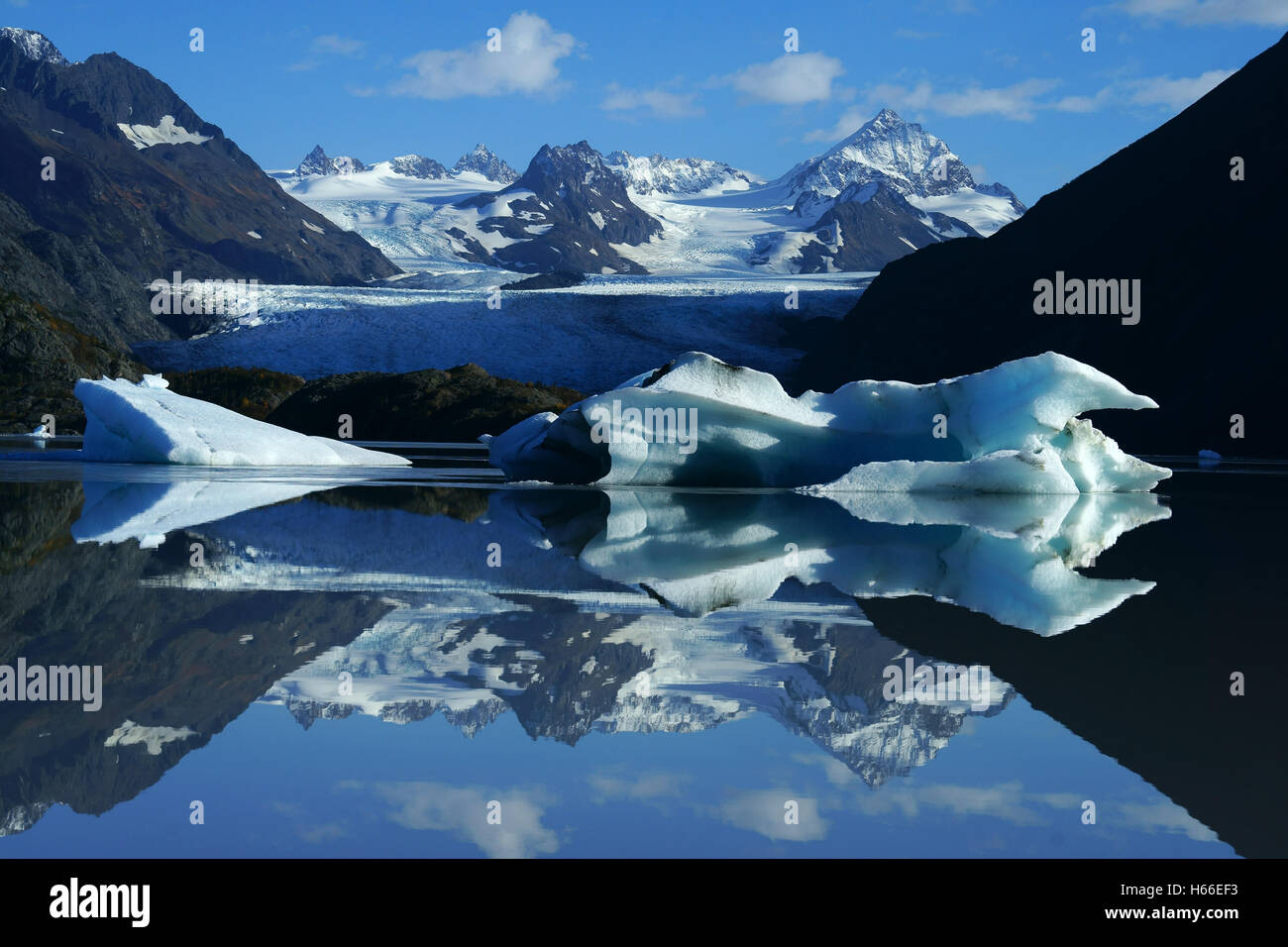 Icebergs in Grewingk glacier lake, with Kenai Mountains, Kachemak Bay State Park, Alaksa Stock Photo