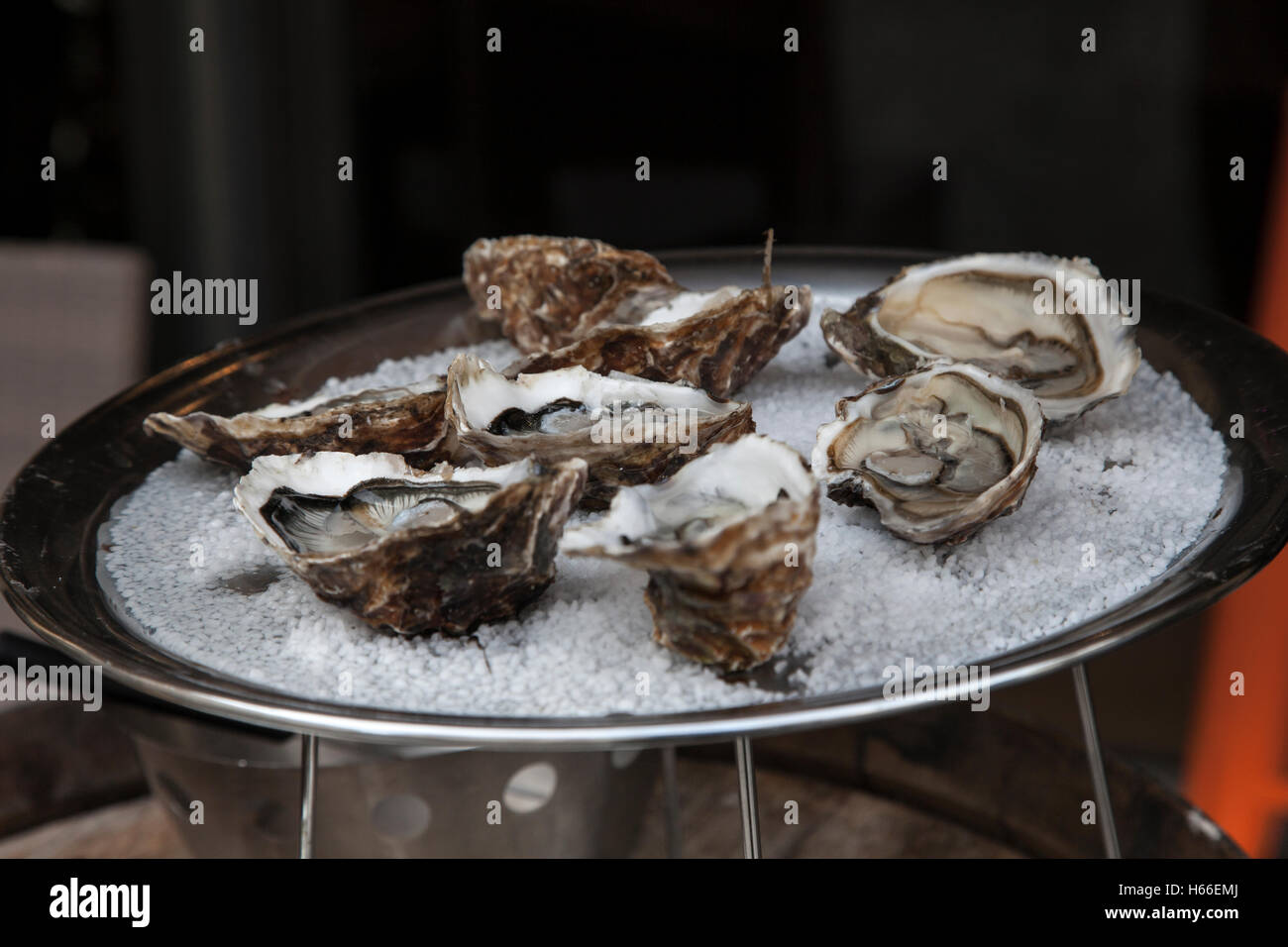 Oysters in Avignon, France, Provence, Europe Stock Photo Alamy