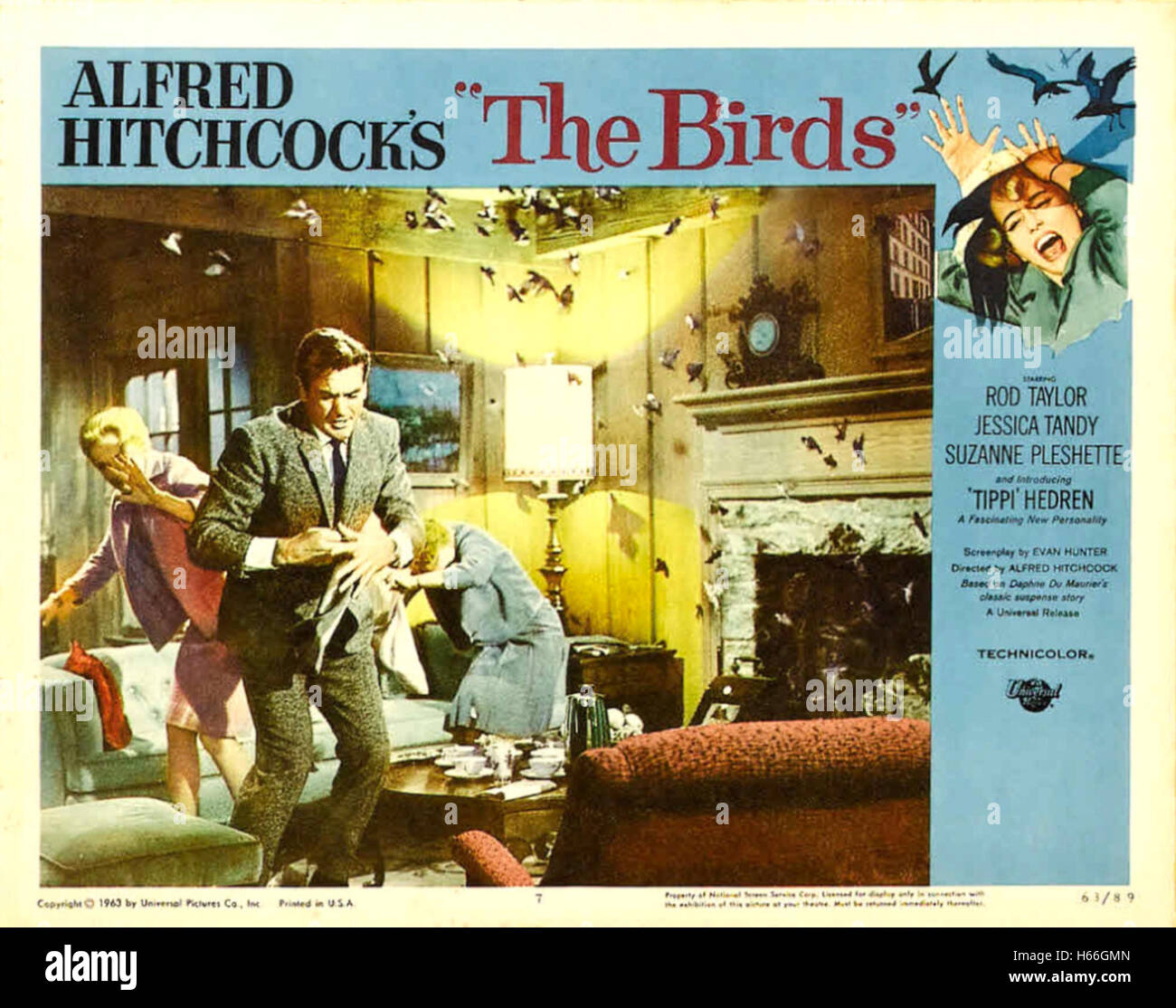 The Birds - Movie Poster Stock Photo - Alamy