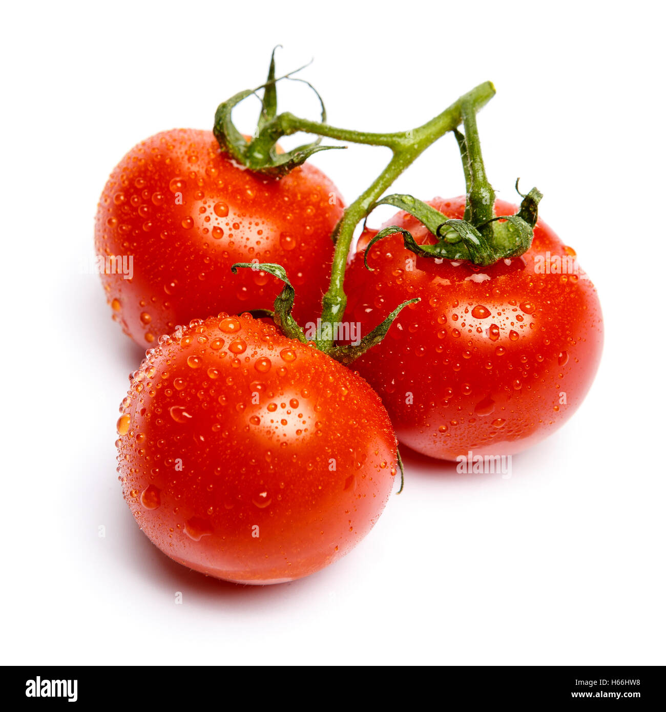 Plum tomatoes with leaves on white background Stock Photo - Alamy