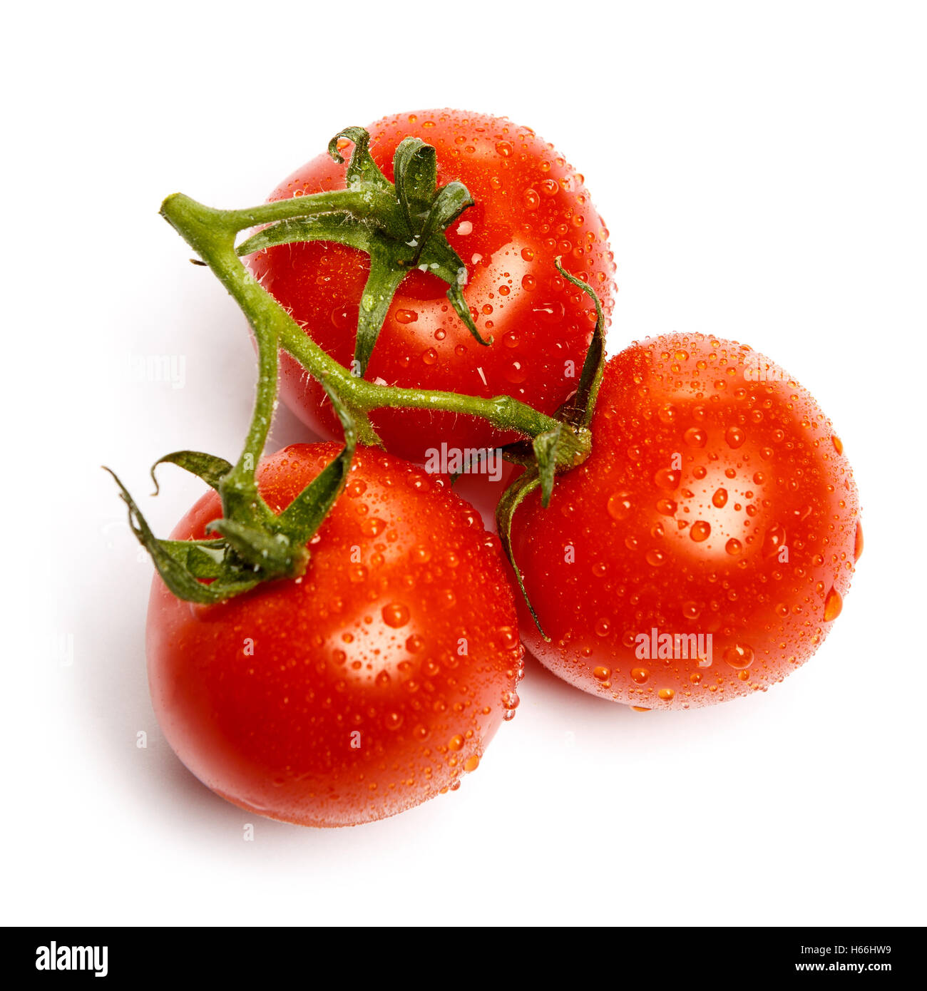 Plum tomatoes with leaves on white background Stock Photo - Alamy