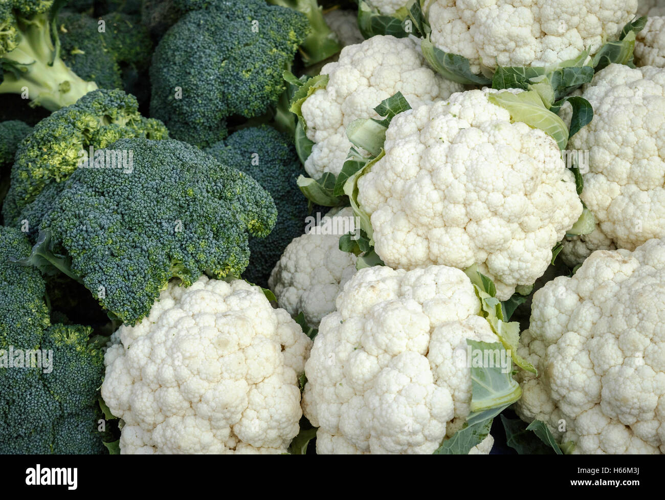 Heads of fresh cauliflower and broccoli Stock Photo Alamy