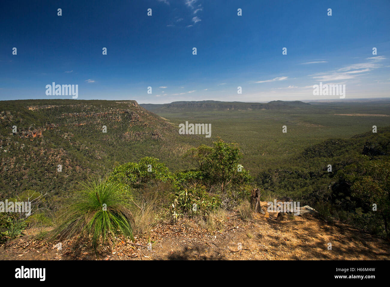 Spectacular vast Australian landscape, rugged escarpment rising from deep forested valley at Blackdown Tablelands National Park. in Queensland Stock Photo