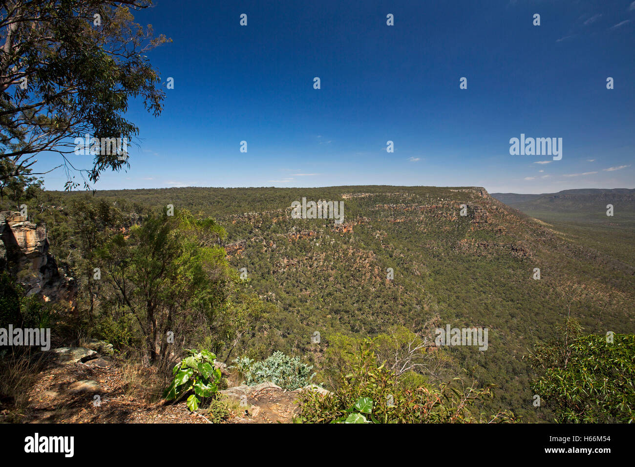 Spectacular vast Australian landscape, rugged escarpment rising from deep forested valley at Blackdown Tablelands National Park in Queensland Stock Photo