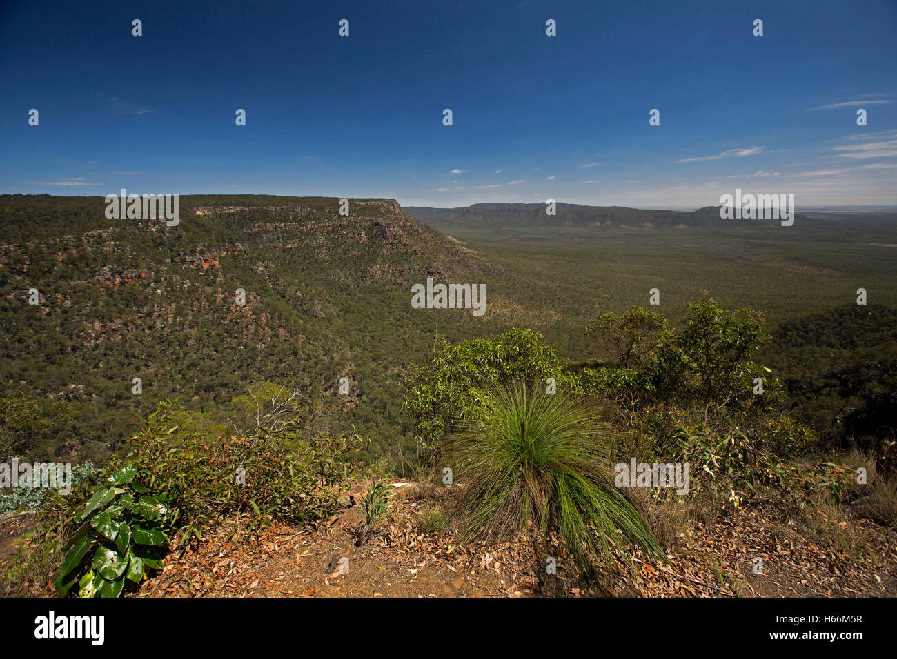 Spectacular vast Australian landscape, rugged escarpment rising from deep forested valley at Blackdown Tablelands National Park in Queensland Stock Photo