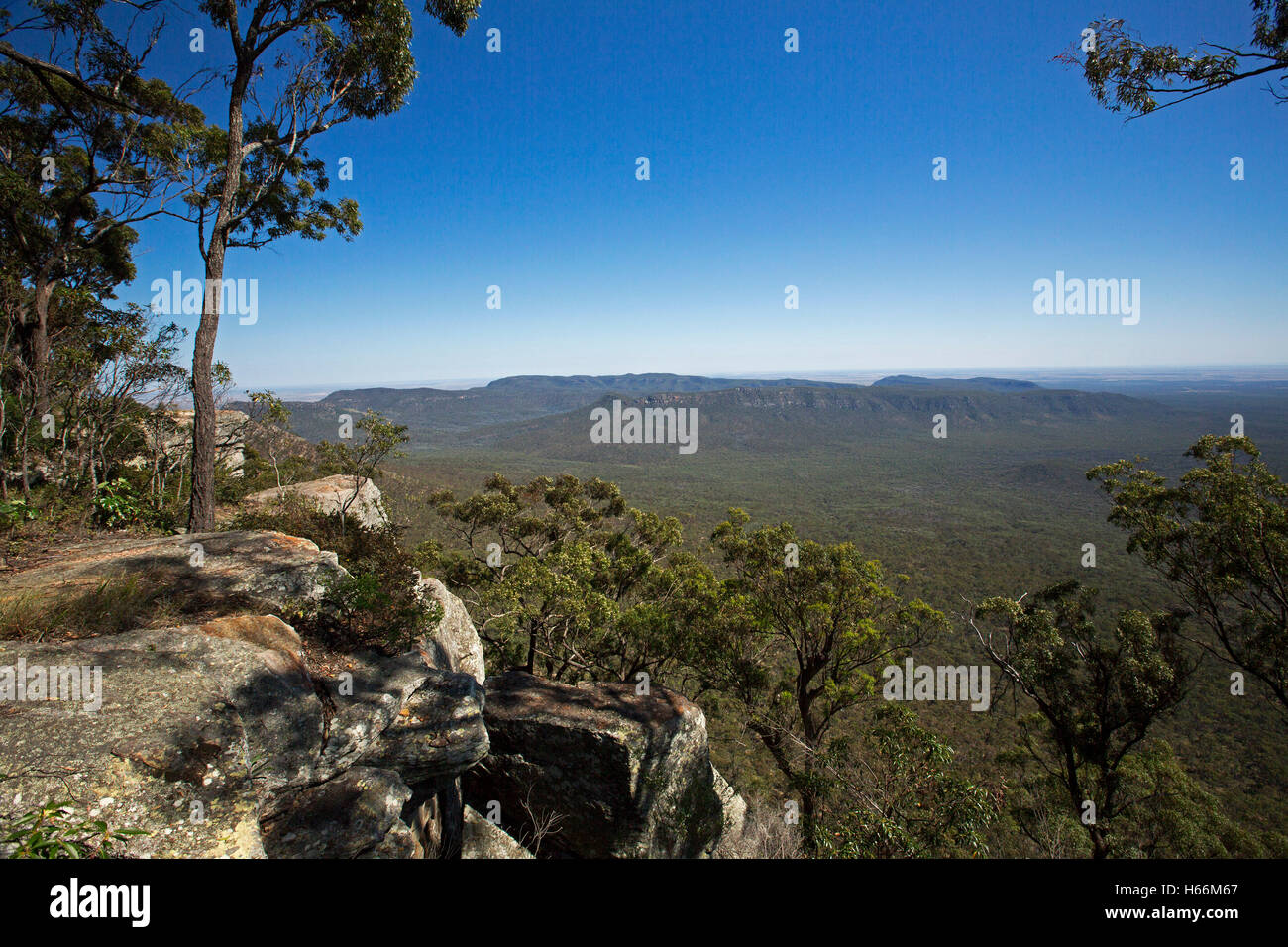 Spectacular vast Australian landscape, forested valleys & escarpment from high rocky lookout, Blackdown Tablelands National Park in Queensland Stock Photo