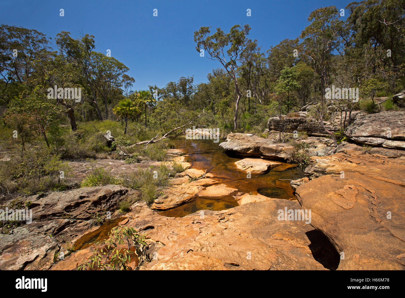Aust landscape dominated by eroded slabs of red sandstone rock in bed of ancient stream bordered by eucalypt forest & boulders Stock Photo