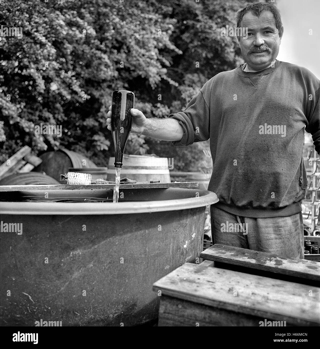 Cleaning of bottles,cider,portrait,farmer,cider season Stock Photo Alamy