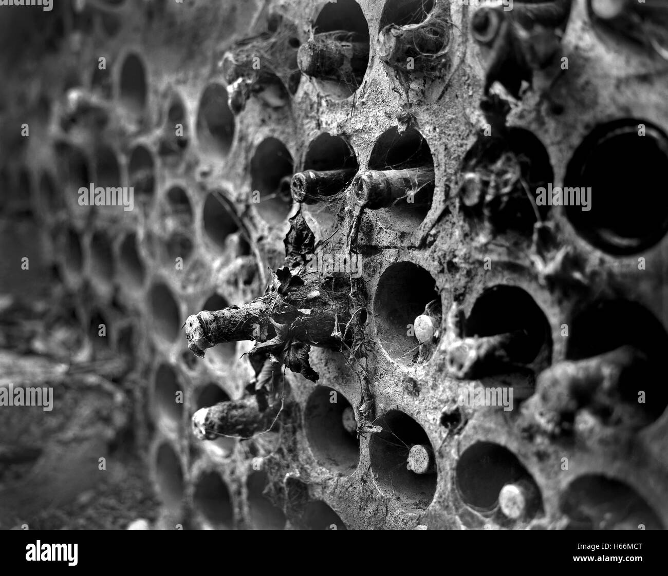 Bottles of cider hires stock photography and images Alamy