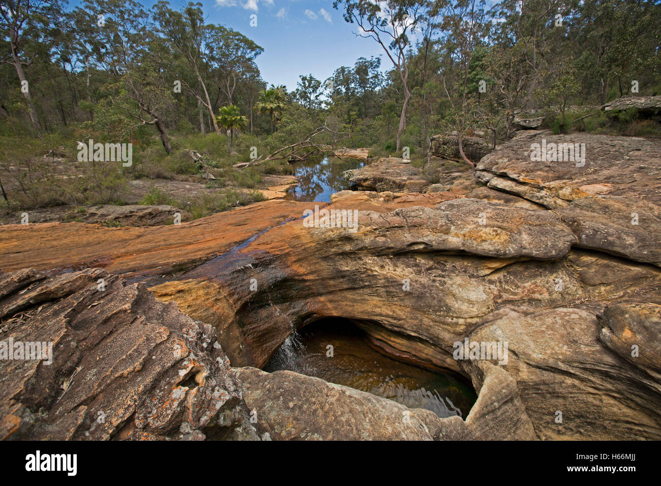 Landscape dominated by deep holes eroded in red sandstone rock, water trickling in from stream & bordered by forest & boulders Stock Photo