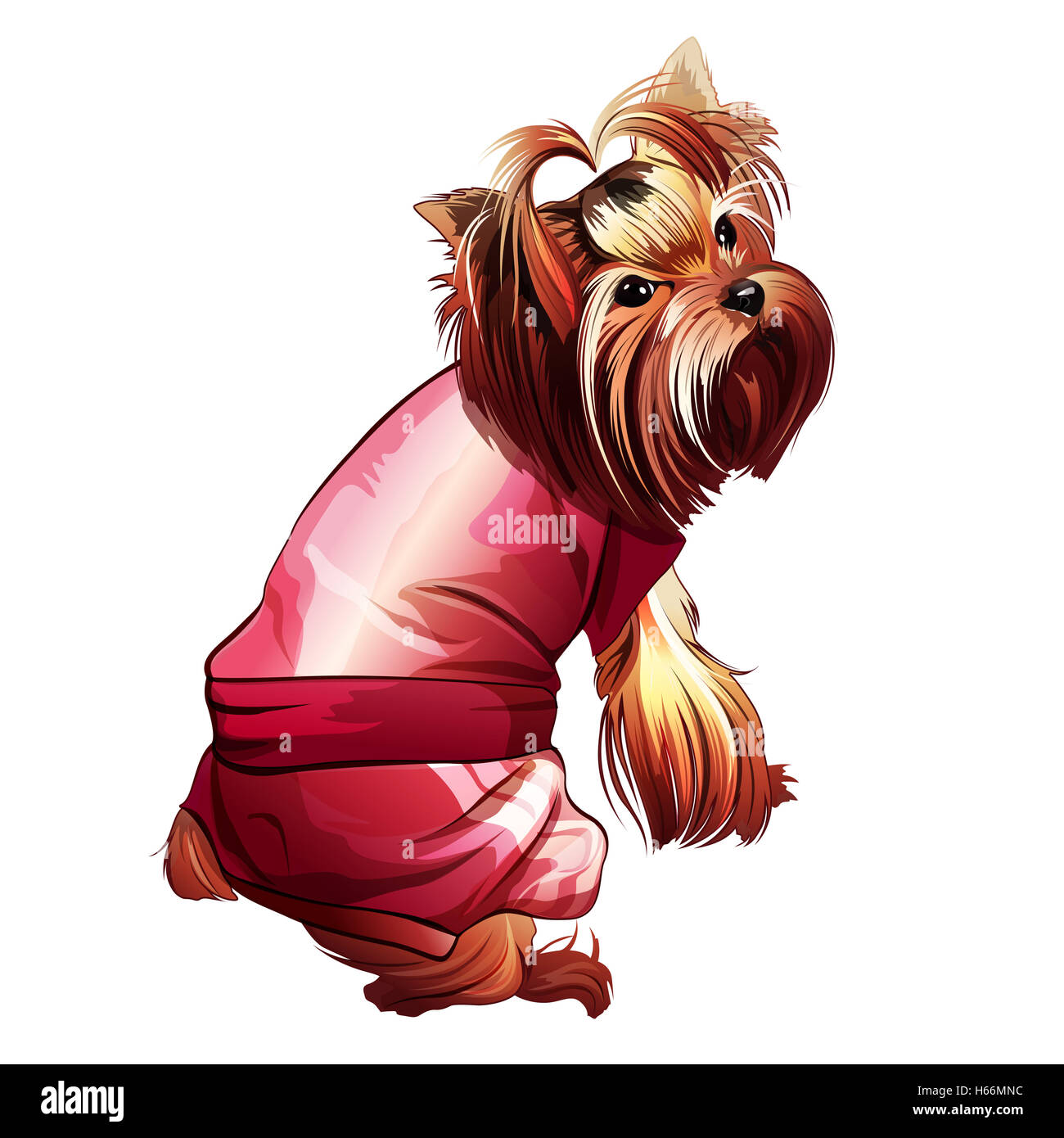 Pocket dog Cut Out Stock Images & Pictures - Alamy