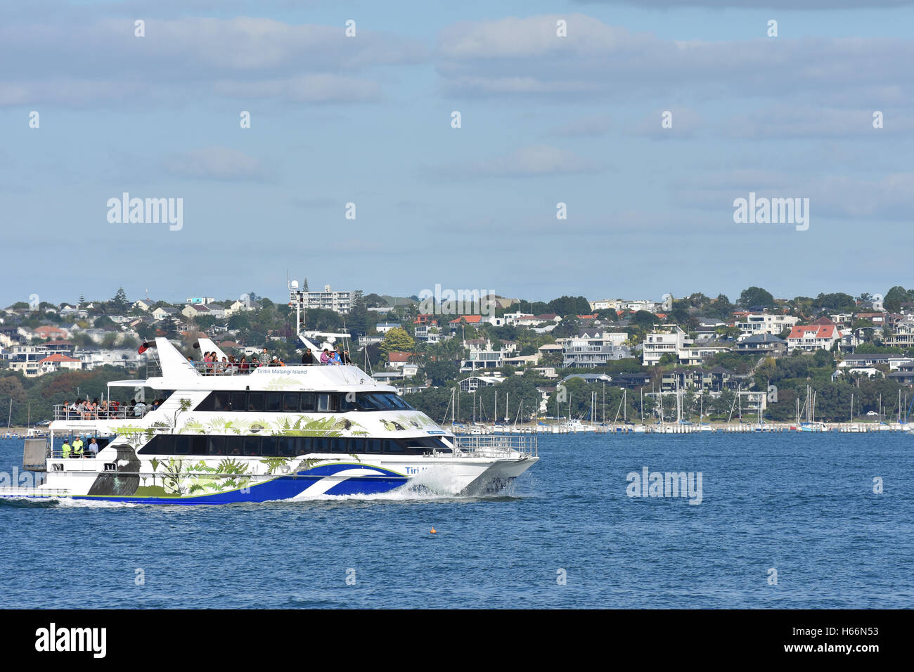 Can You Take A Car On The Ferry To Waiheke Island